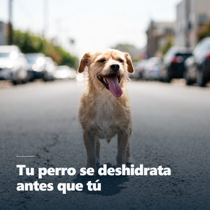 Botella 3 en 1 para Mascotas · 350 ml
